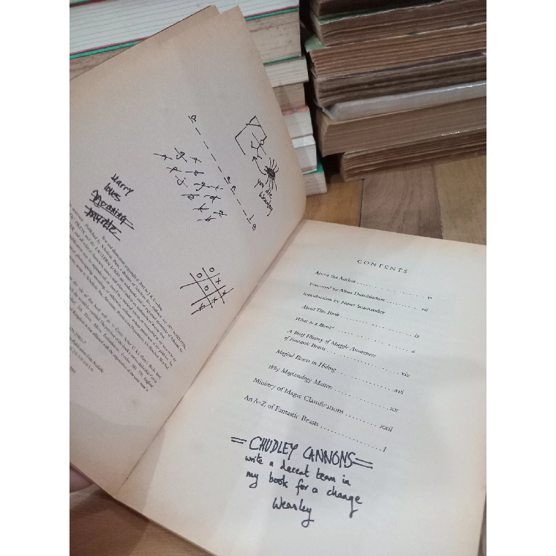 Fantastic beasts & where to find them - Newt Scamander 788241