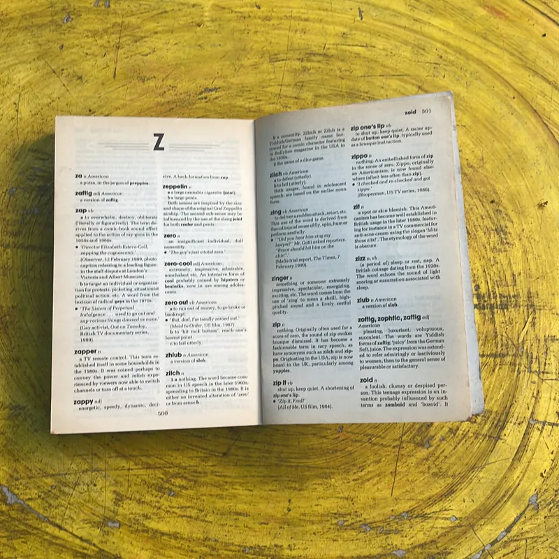 TIMES DICTIONARY OF CONTEMPORARY SLANG 736658