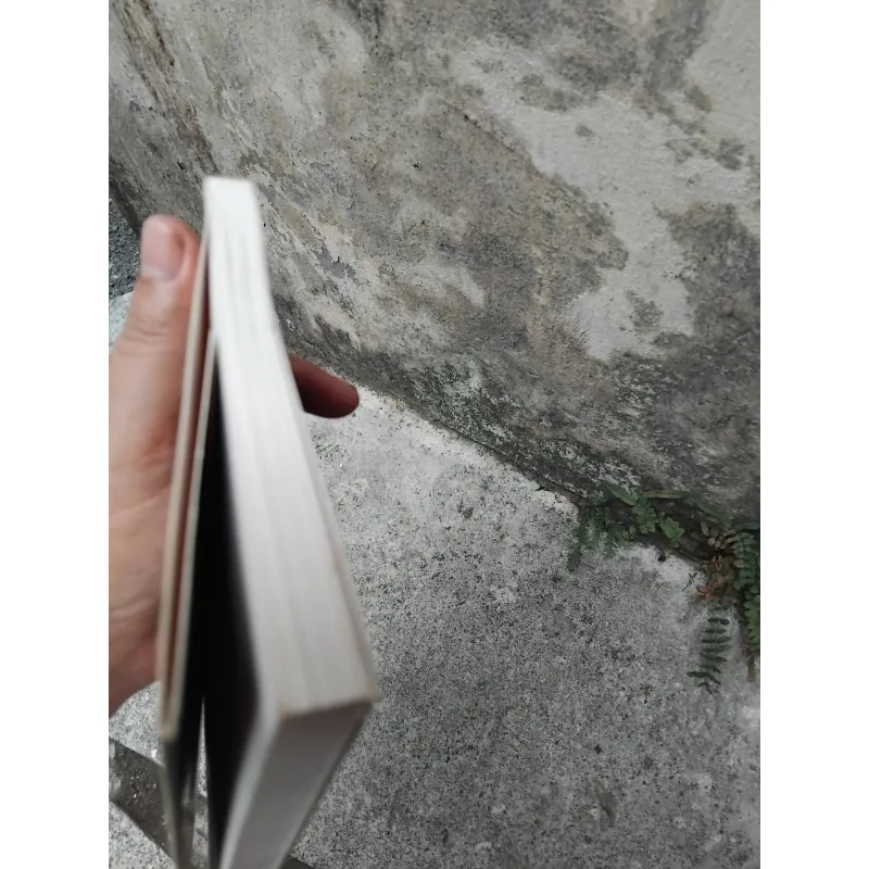 Hồi kí Thương Tín một đời giông bão  1028247