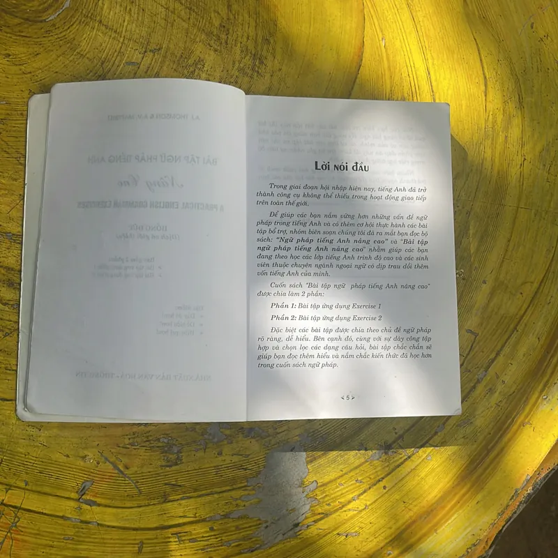 BÀI TẬP NGỮ PHÁP TIẾNG ANH NÂNG CAO- THOMPSON & MARTINET 695050