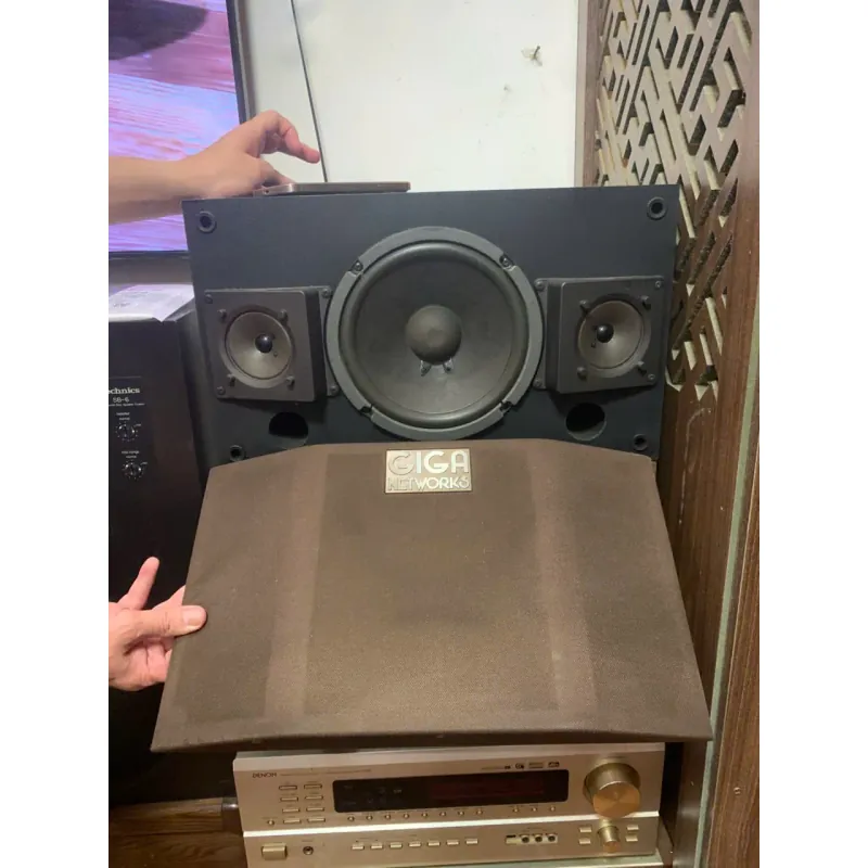 Loa Giga Networks SP-800 công suất 250W màu đen Nhật Bản 1009780