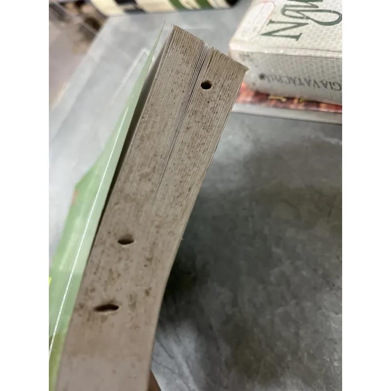 BẢO VỆ TỰ DO VÀ AN NINH CÁ NHÂN BẰNG PHÁP LUẬT HÌNH SỰ VIỆT NAM - TRỊNH TIẾN VIỆT 795462