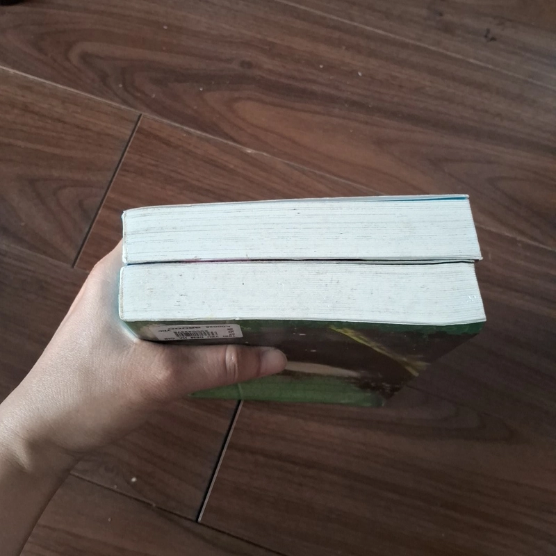Tình yêu đêm hạ chí 510029