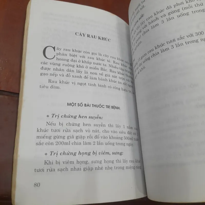 Chữa bệnh bằng cây thuốc Nam 800819
