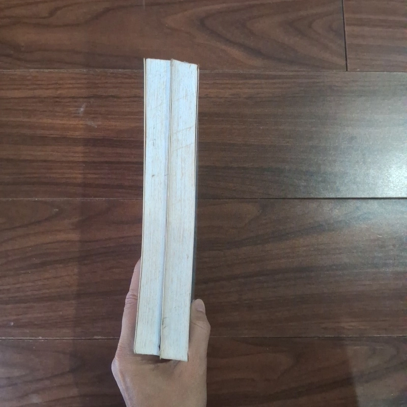 Sau một nụ hôn 508856