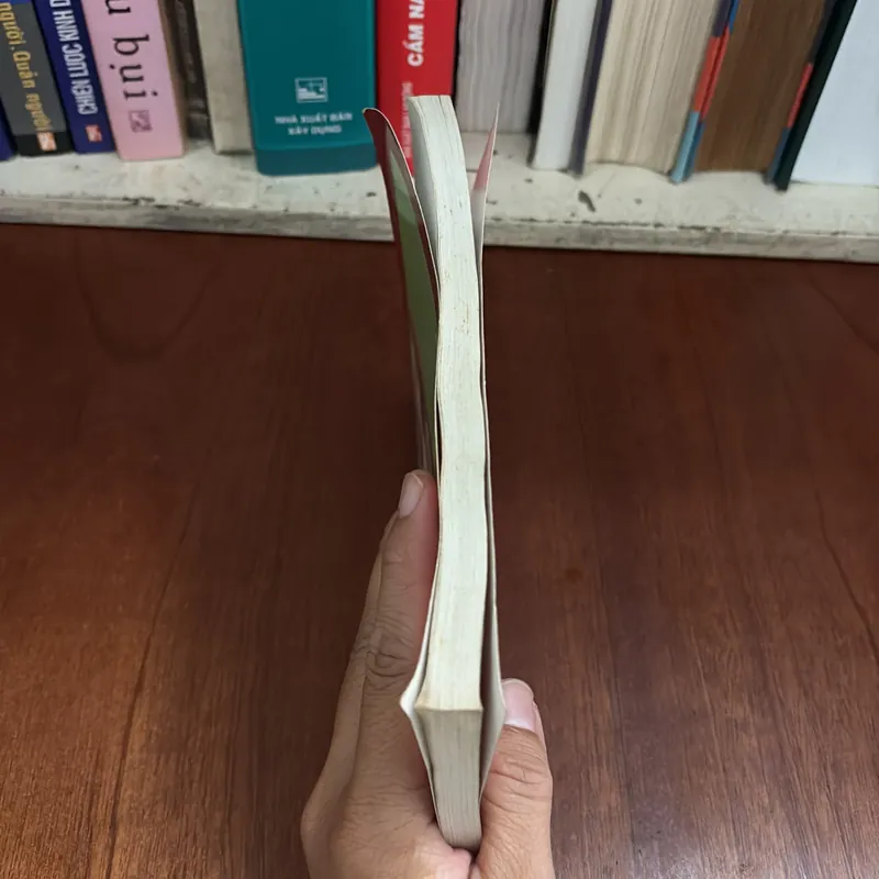 Tựa sách: Trở về từ cõi sáng - Nguyên Phong 414026