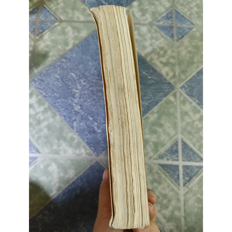 Truyện Kiều những lời bình - Hoài Phương 791695