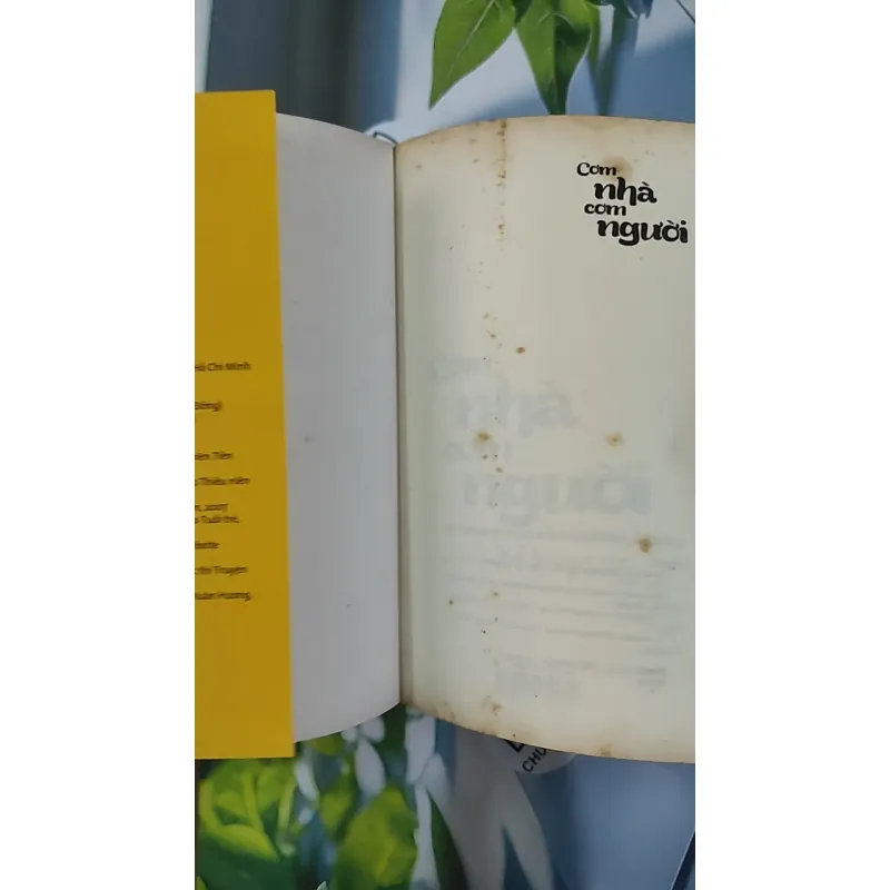 Cơm Nhà Cơm Người - Hồ Huy Sơn 798411