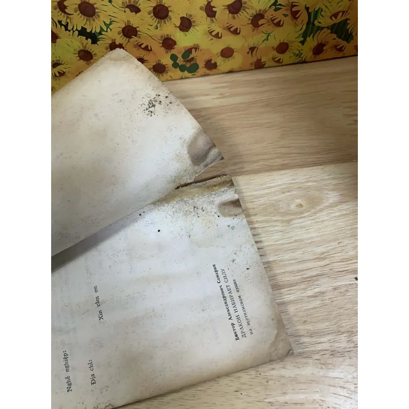 Con Rồng Đang Lấy Sức - Vich-to-Xa-ma-rin 748623