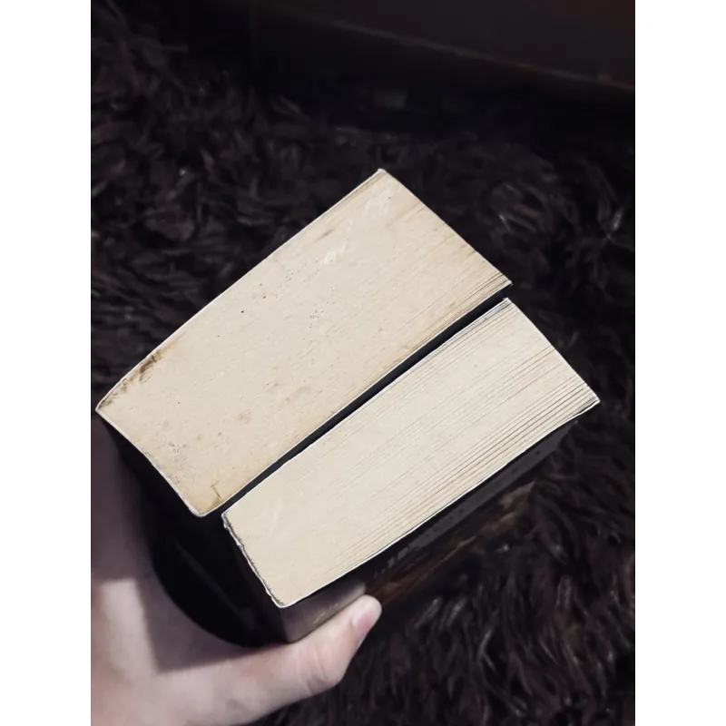 The Odyssey + The Iliad  996795