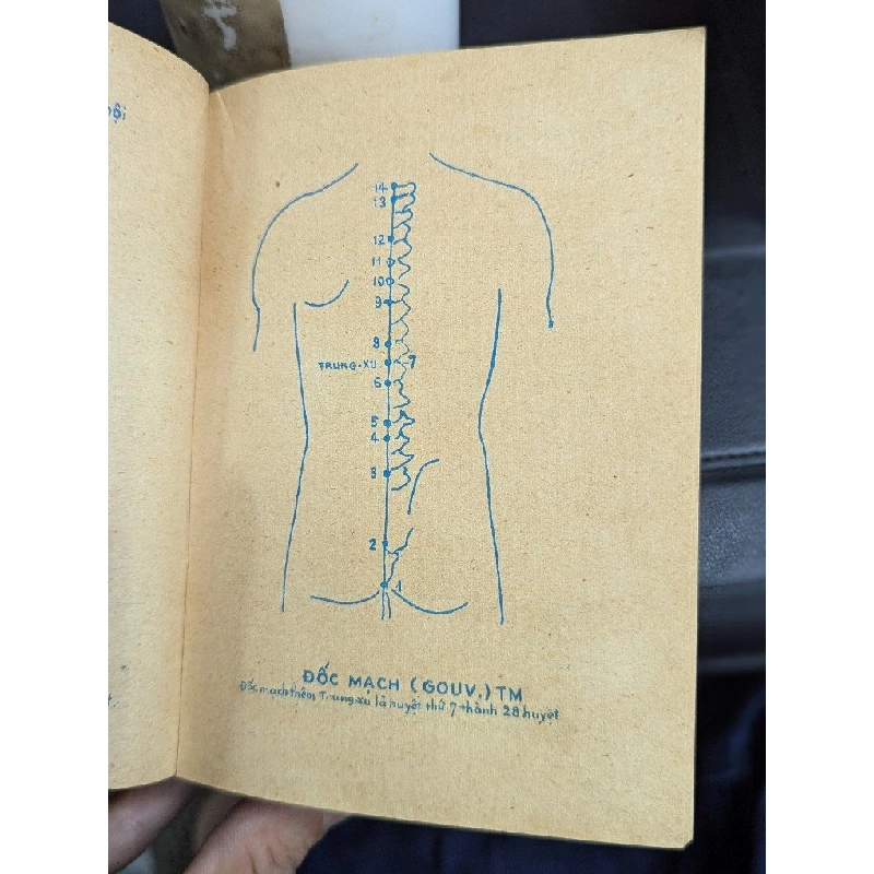 TIỂU TỪ ĐIỂN CHÂM CỨU KINH HUYỆT & BIỆT HUYỆT - THƯỢNG TRÚC 193506