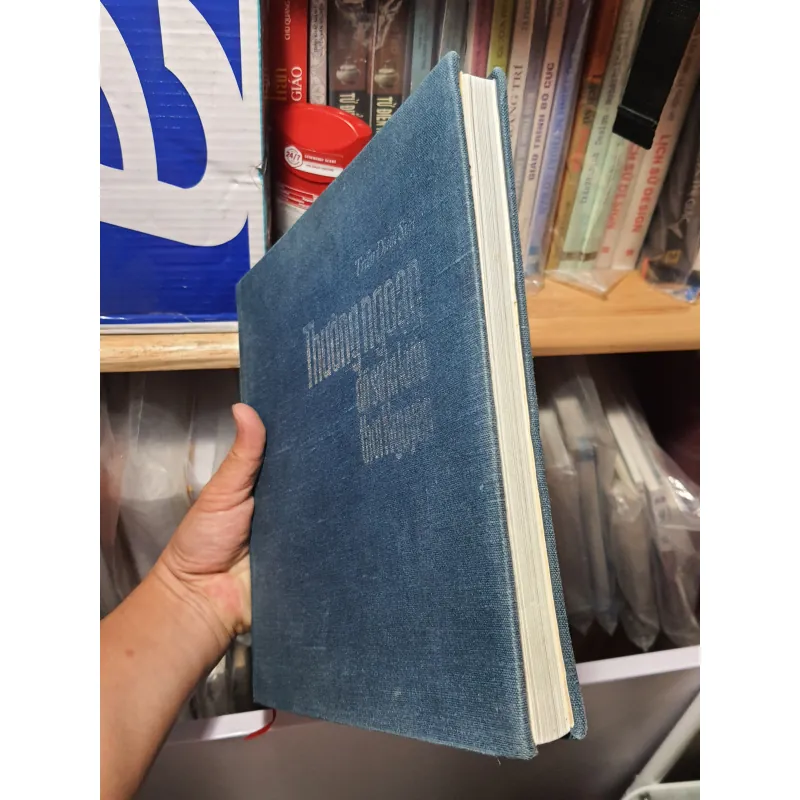 Thưởng ngoạn đồ sứ ký kiểu thời Nguyễn - Trần Đình Sơn 997119