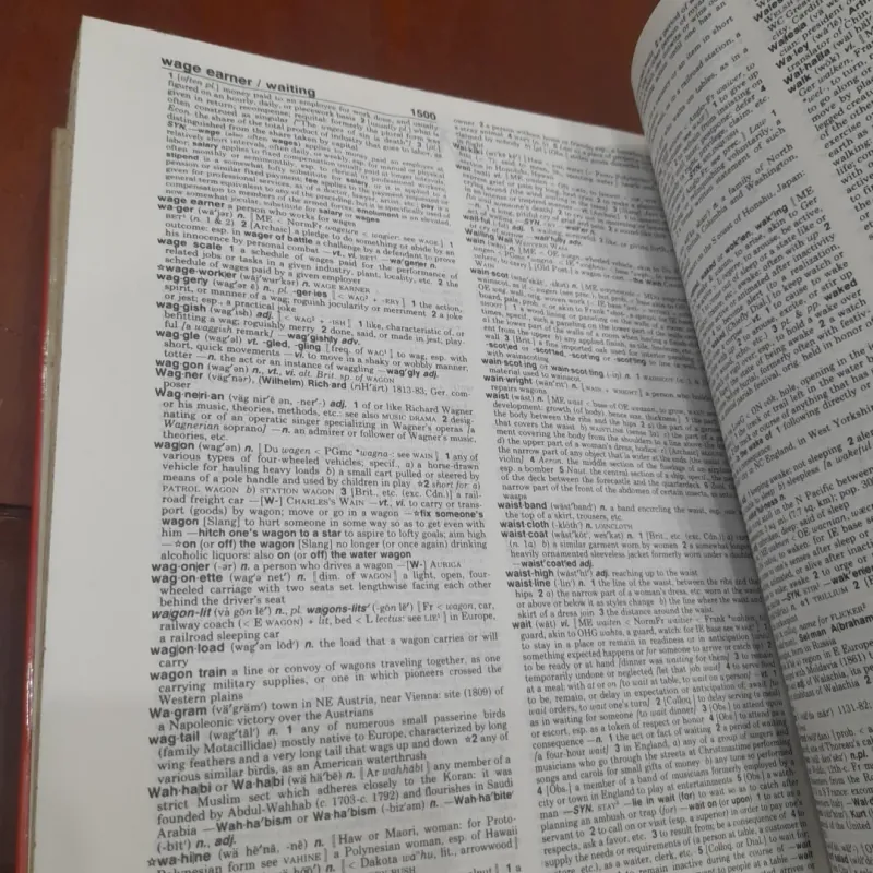 WEBSTER'S NEW WORLD COLLEGE DICTIONARY 751044