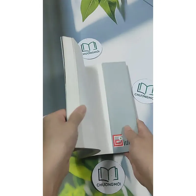 Giường - Phan An 694986