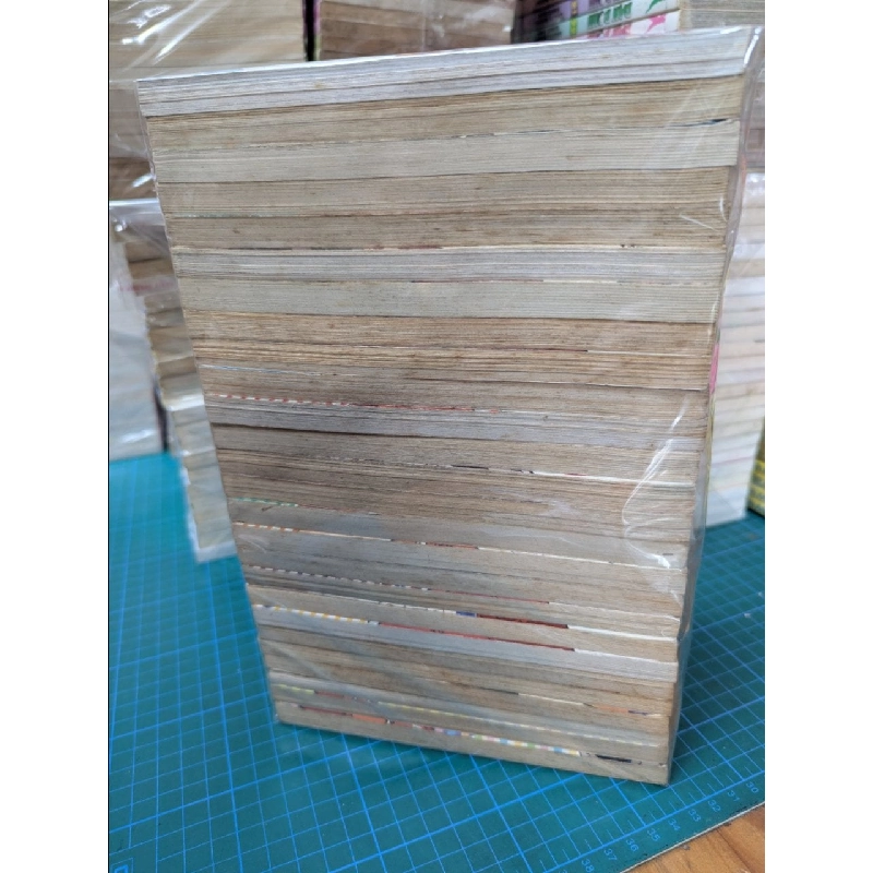 Truyện tranh Vua Bánh Mì - Hashiguchi Takashi ( đọc xuôi ) 576352