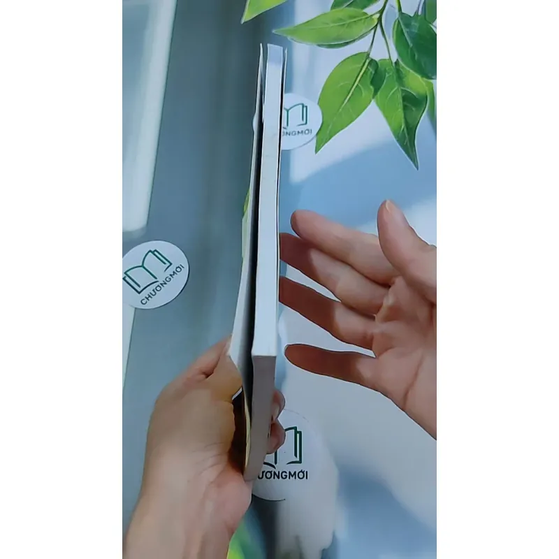 Những Nấc Thang Hạnh Phúc - Hoàng Mai 634461