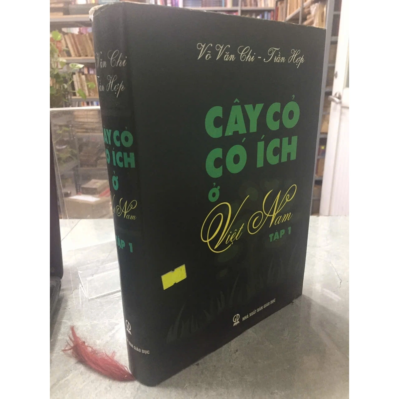 CÂY CỎ CÓ ÍCH Ở VIỆT NAM 528968