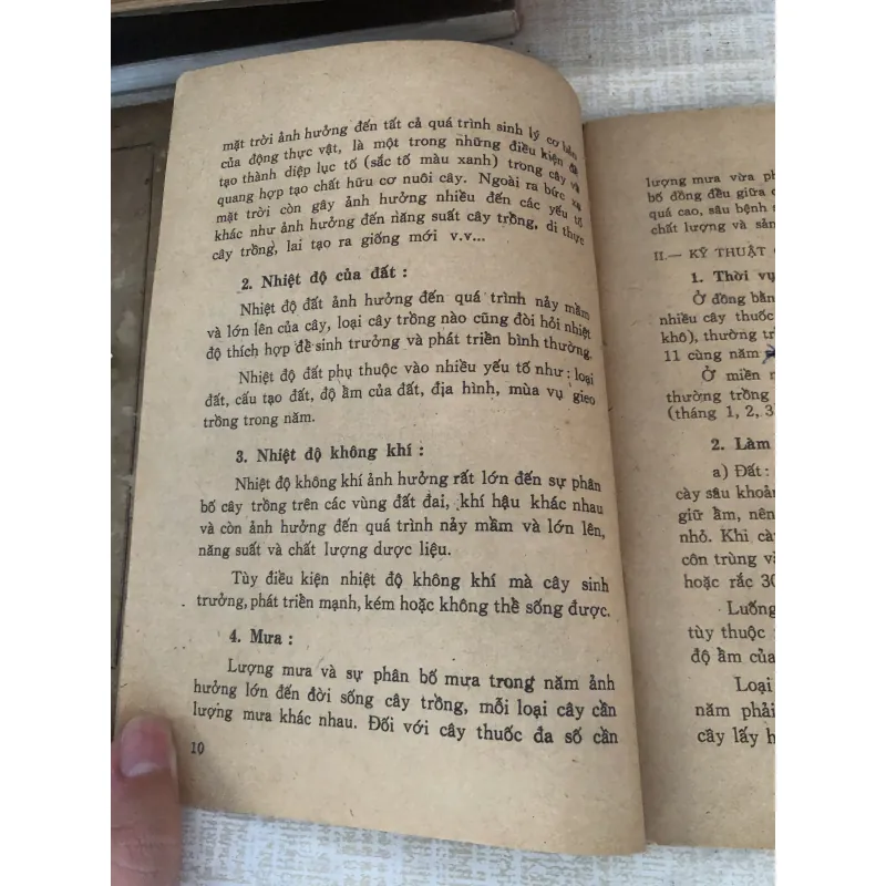 Những kinh nghiệm trồng và sử dụng 1 số cây thuốc nam 995088