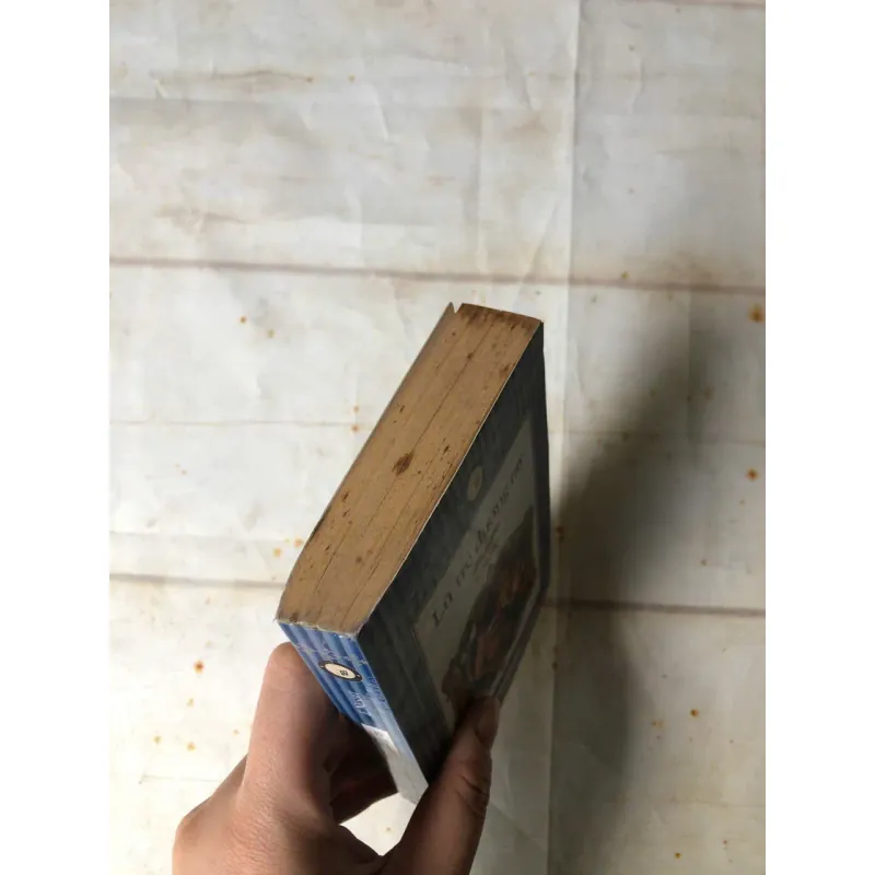 Lũ Trẻ Đường Ray - E. Nesbit 800584