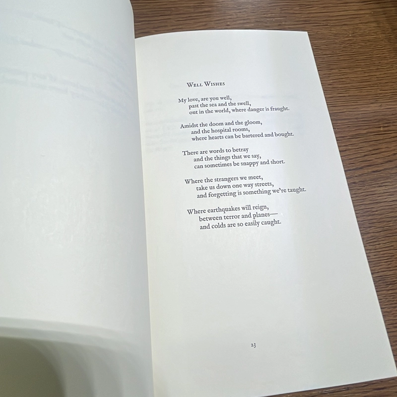 Lullabies Lang Leav 450385