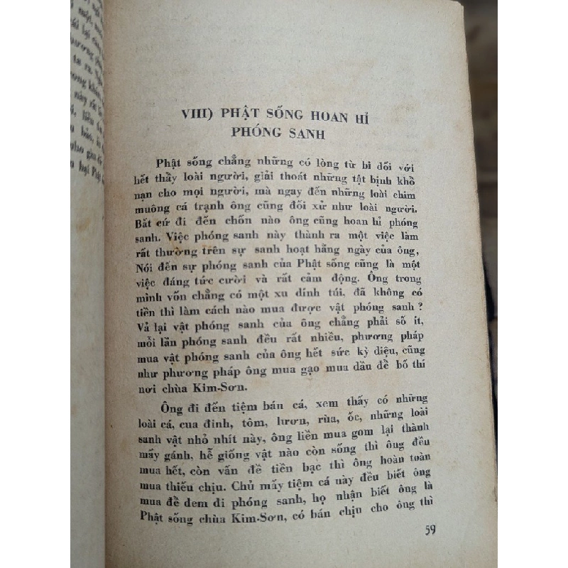 PHẬT SỐNG CHÙA KIM SƠN - LẠC QUAN ( DỊCH GIẢ ĐỒ NAM ) 192367