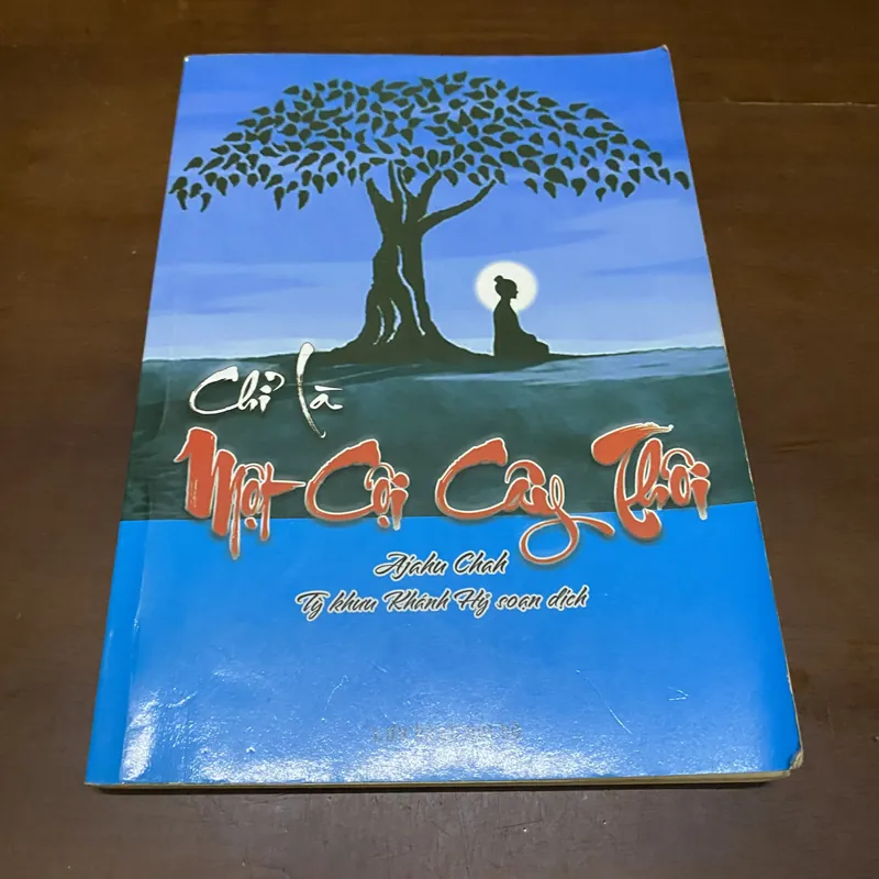 Chỉ là một cội cây thôi 606089