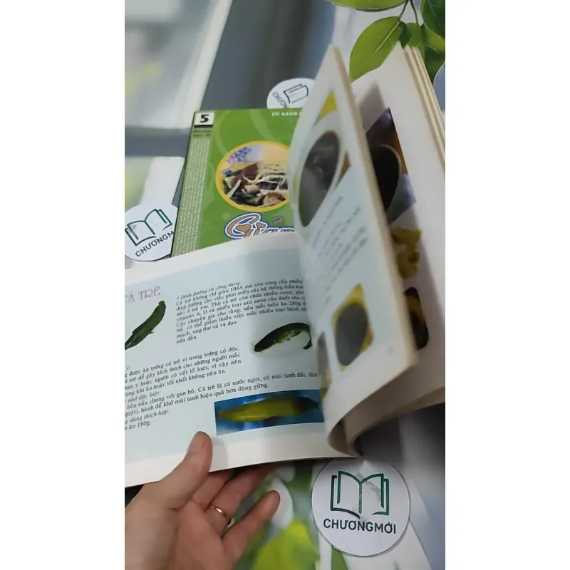 Combo Ẩm Thực: 35 Món Ăn Dành Cho Phụ Nữ, 29 Món Giảm Béo 727318