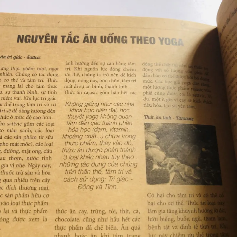 Tạp chí SỐNG CÂN BẰNG – The Yogi’s Life 756756