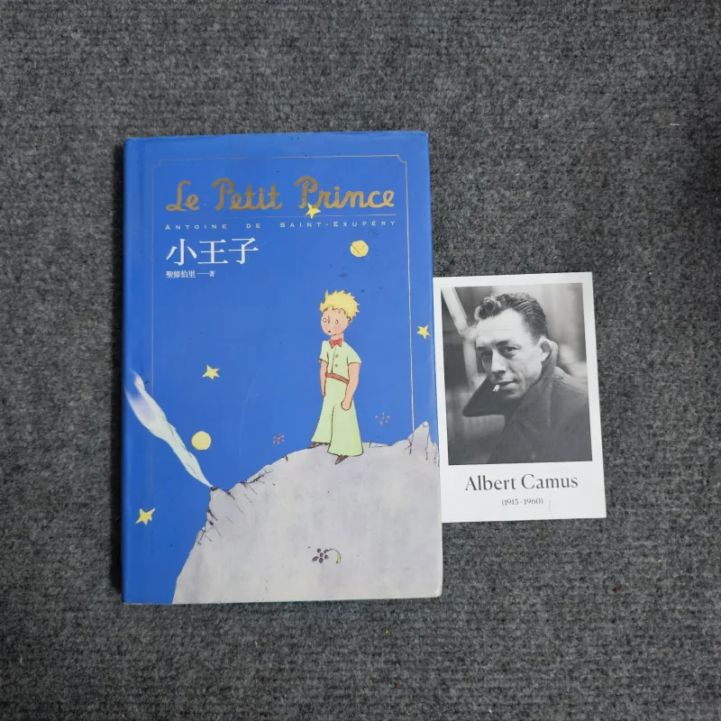 The little price - hoàng tử bé tiếng trung 1029637