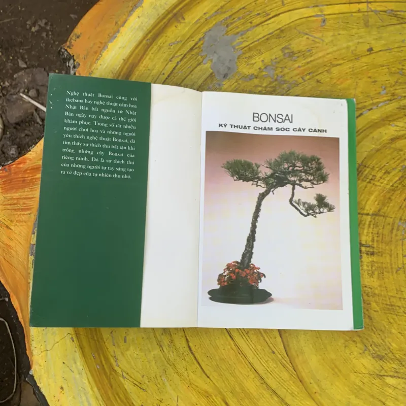  BONSAI KỸ THUẬT CHĂM SÓC CÂY CẢNH  759675