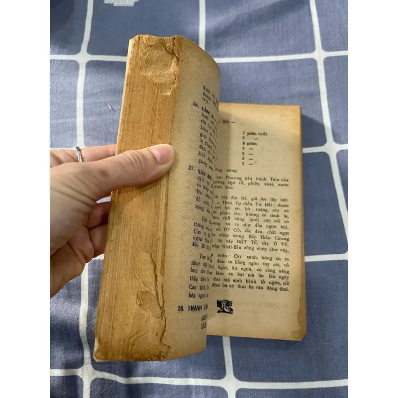 NAM KHOA NỮ KHOA 621937