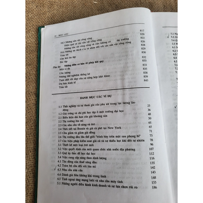 Kinh tế học Vi mô | Robert S. Pindyck và Daniel L. Rubinfeld | 770 trang, bìa cứng 326645