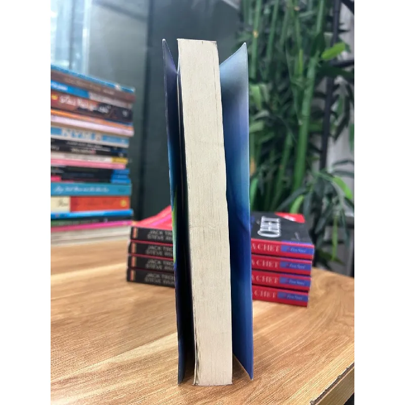 Sự thật được dạy bởi tất cả chư Phật – Tỳ khưu Revata 572468