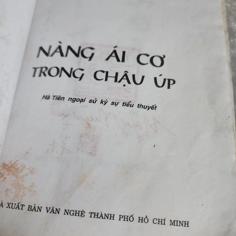 Nàng Ái Cơ trong chậu úp | Mộng Tuyết 526121
