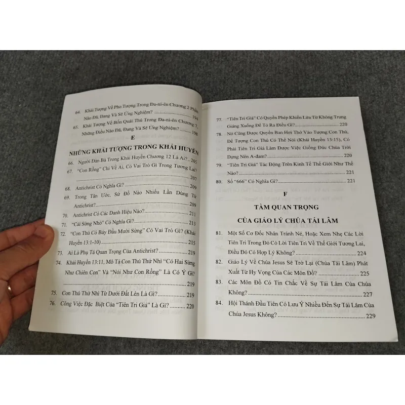 THẦN HỌC TINH TUYỂN TẬP 8: LƯỢC LUẬN VỀ LINH GIỚI & THẾ GIỚI TƯƠNG LAI 727162