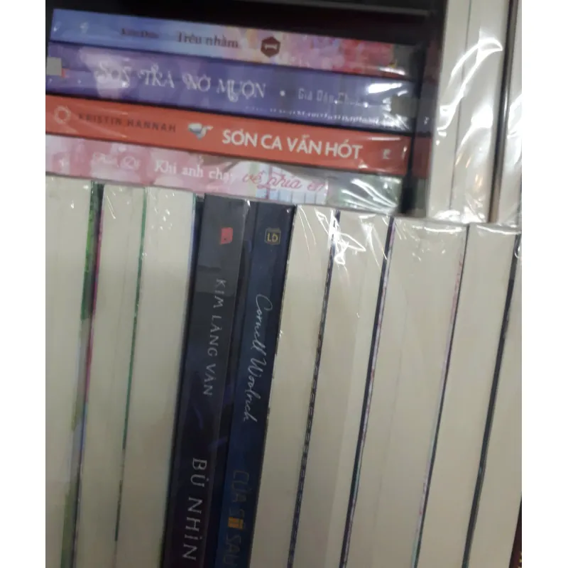 Blindbox sách 1031029