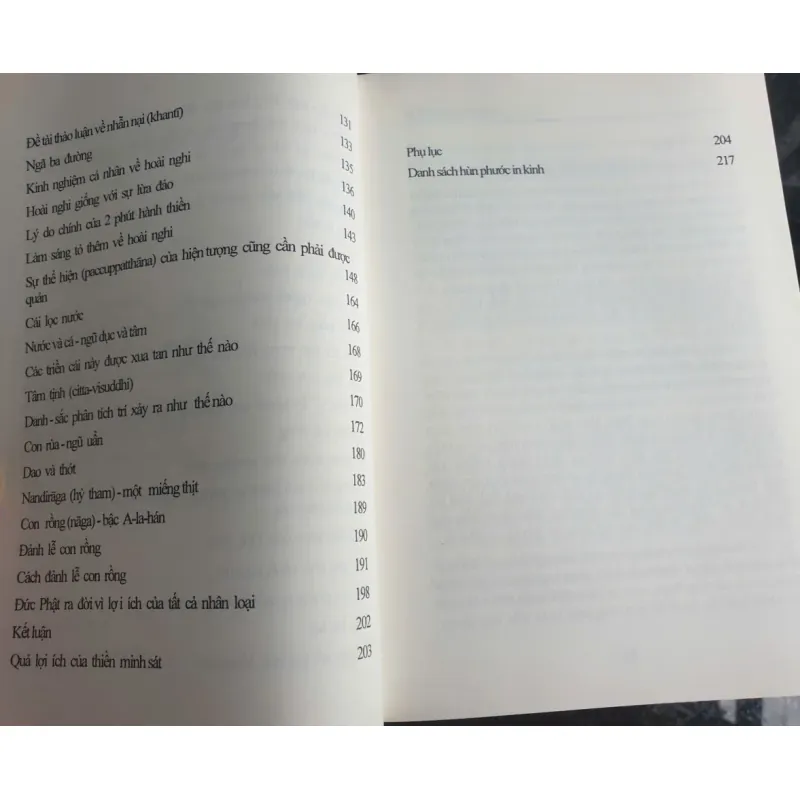Sách Giảng giải Kinh Gò Mối của Mahási Sayādaw - Bản tiếng Việt 675207