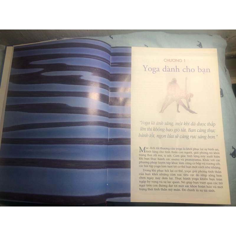 Kỹ thuật và Thực hành Yoga toàn tập - B.K.S. IYENGAR (bìa cứng) 327060