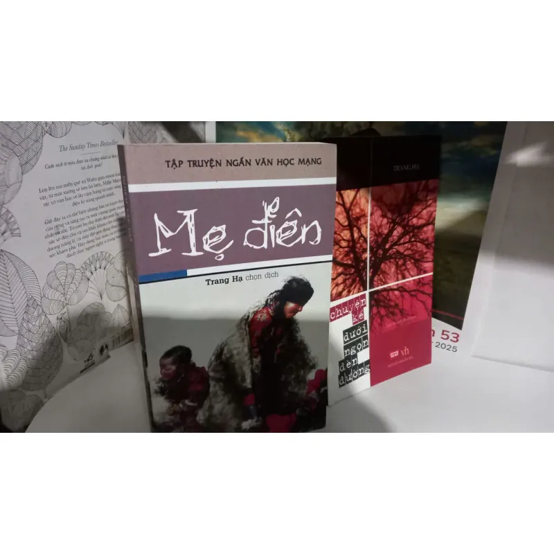 mẹ điên - tập truyện văn học mạng 759214