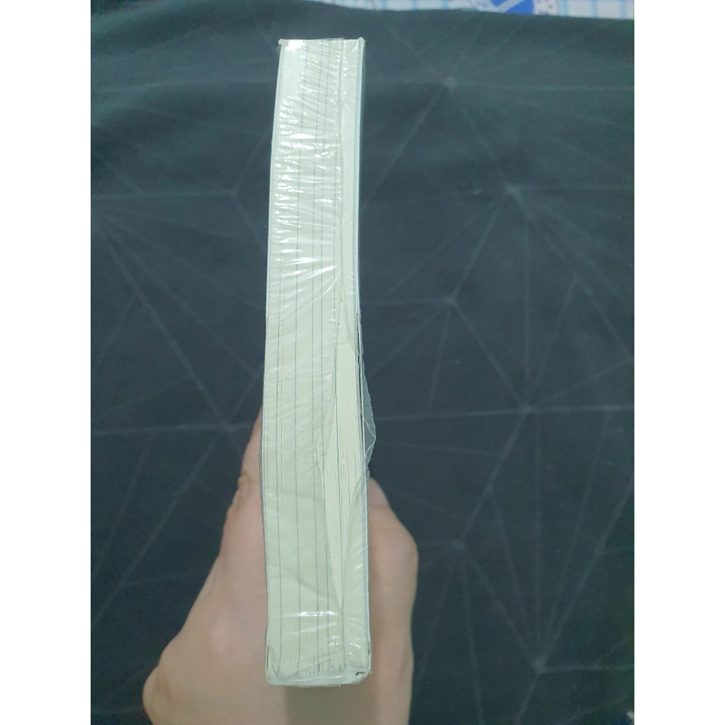 "Ngôi nhà của người cá say ngủ" (seal, có mộc) - Higashino Keigo 472190