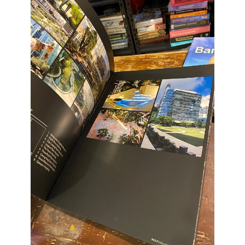 Belt Collins HongKong 1006758