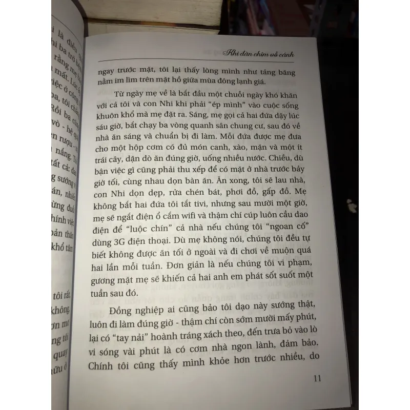 Khi đàn chim vỗ cánh  1011355