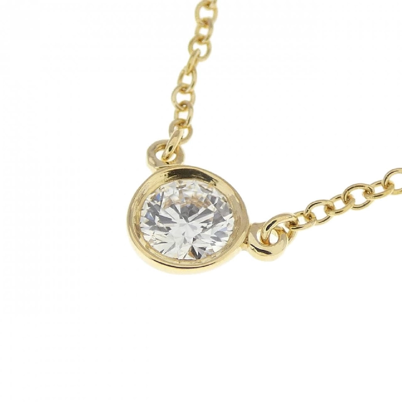 Dây chuyền Tiffany By The Yard - Hàng hiệu Authentic 842439