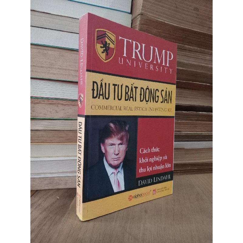 Đầu tư bất động sản: Cách thức khởi nghiệp và thu lợi nhuận lớn - David Lindahl 119372