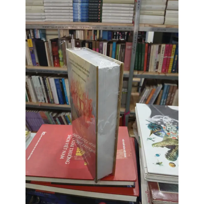 TÔN GIÁO MỚI NHẬN THỨC VÀ THỰC TẾ (BÌA CỨNG) - TRƯƠNG VĂN CHUNG 1023076