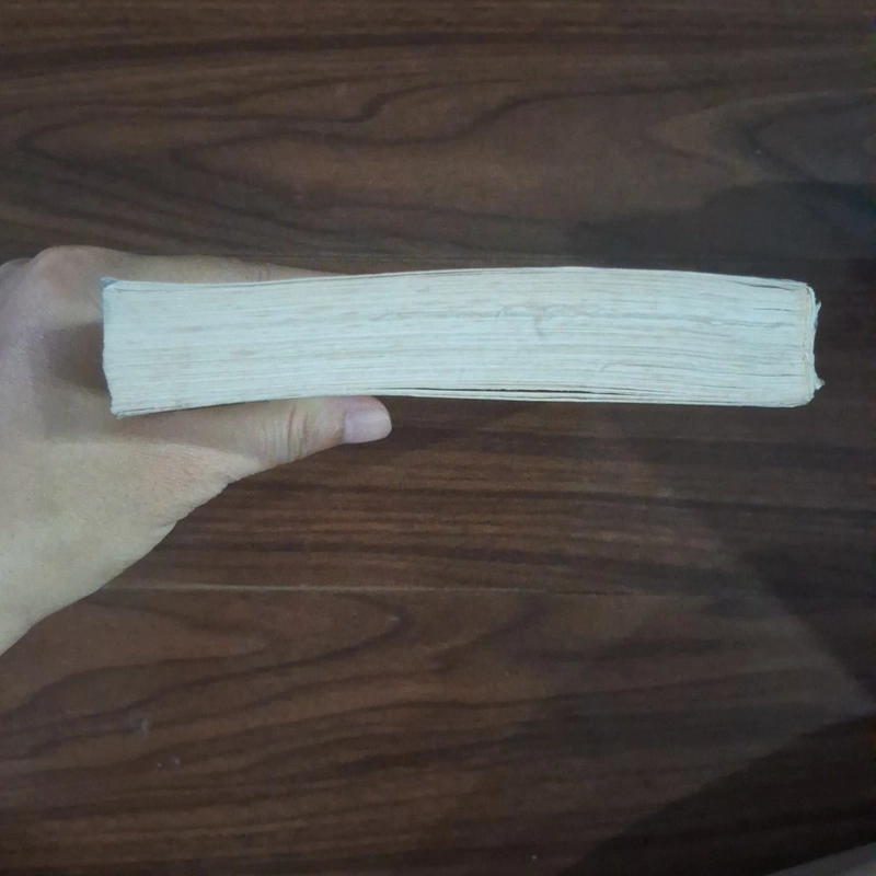Giai điệu tình yêu 508015