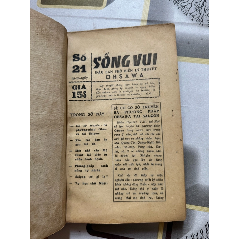Sống vui     527518