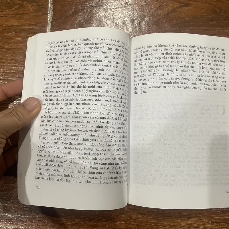 Triết học đạo đức - Vladimir Soloviev  (6) 1006810