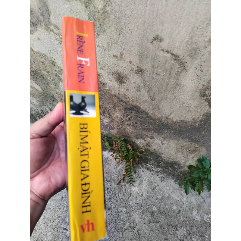 Bí mật gia đình tiểu thuyết của Irène Frain  1005704