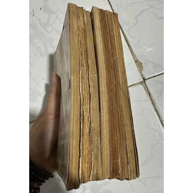 Truyện 9x mười 12 con giáp 7c ko trùng 688293